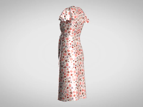 Ladies Wrap Dress 3D Model