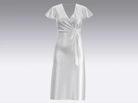 Ladies Wrap Dress 3D Model