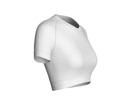 Ladies V-Neck Crop Tops 3Dモデル