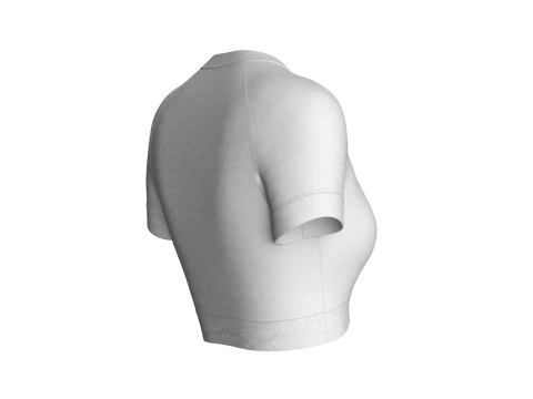 Ladies V-Neck Crop Tops 3D Model