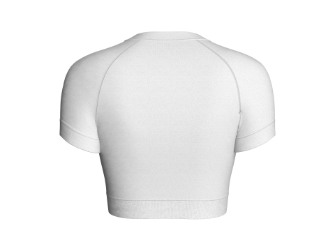 Ladies V-Neck Crop Tops 3Dモデル