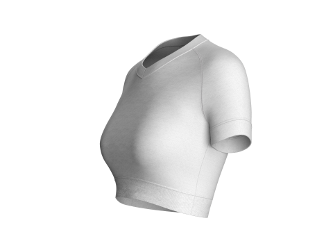 Ladies V-Neck Crop Tops 3Dモデル