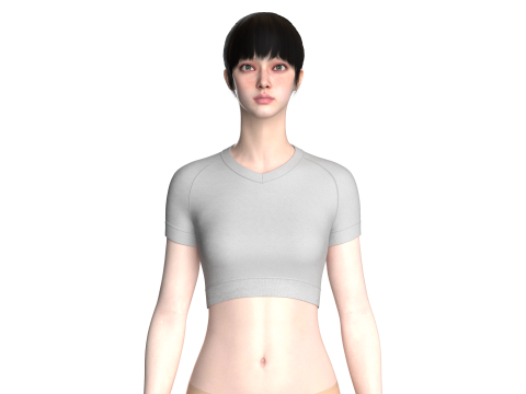 Ladies V-Neck Crop Tops 3Dモデル