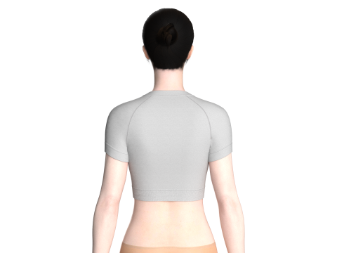Ladies V-Neck Crop Tops 3Dモデル