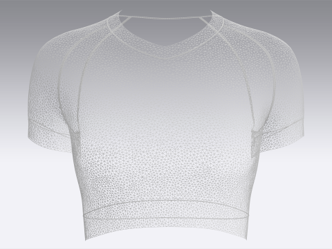 Ladies V-Neck Crop Tops 3Dモデル