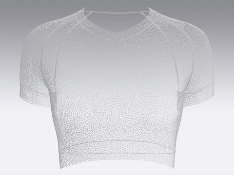 Ladies V-Neck Crop Tops 3D Model