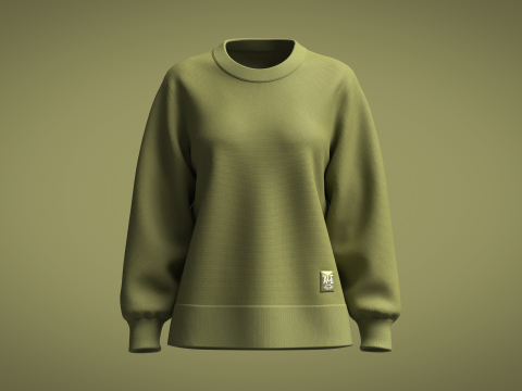 Ladies Sweater 3D Модель