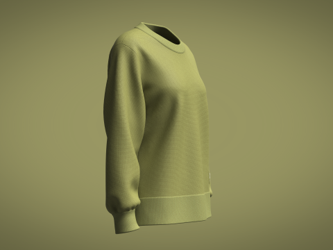 Ladies Sweater Modelo 3D
