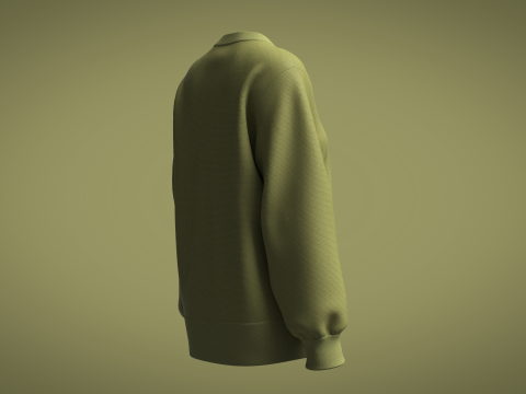 Ladies Sweater Modelo 3D