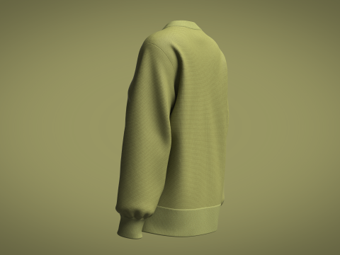 Ladies Sweater Modelo 3D