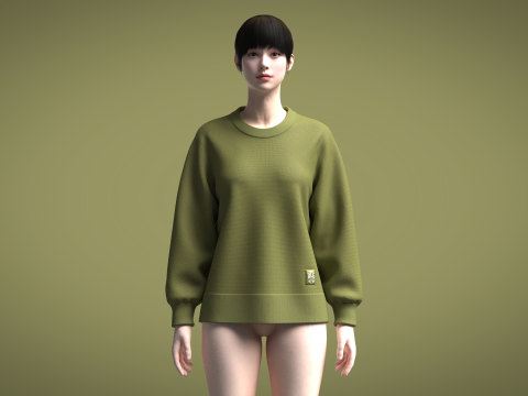 Ladies Sweater Modelo 3D