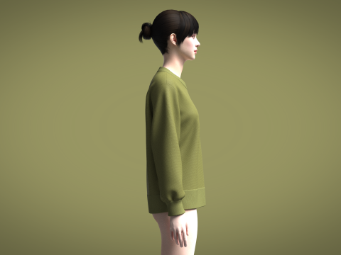 Ladies Sweater Modelo 3D