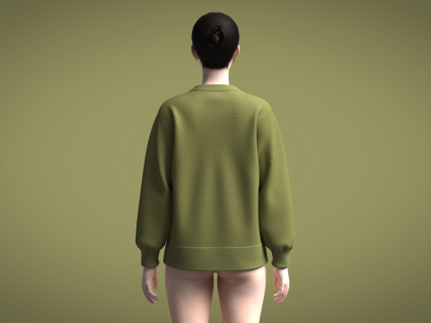 Ladies Sweater Modelo 3D