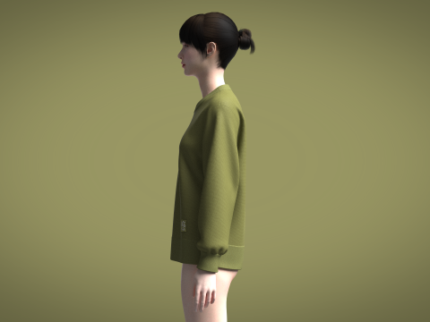 Ladies Sweater Modelo 3D