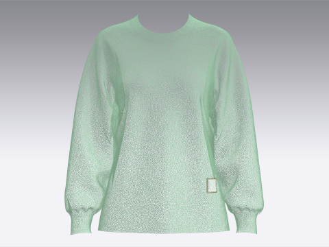 Ladies Sweater Modelo 3D