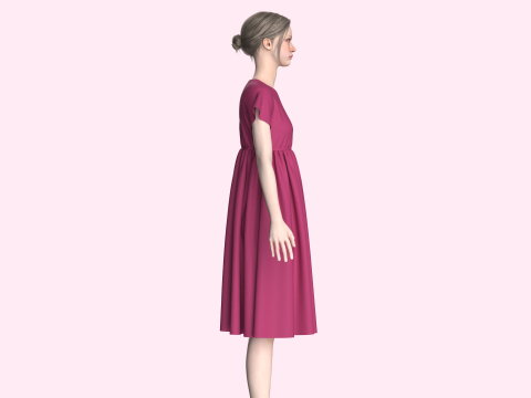 Ladies Midi Dress Modèle 3D
