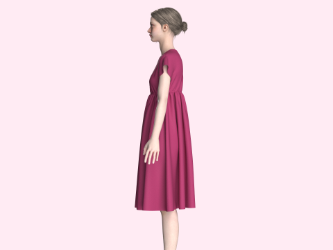 Ladies Midi Dress Modèle 3D