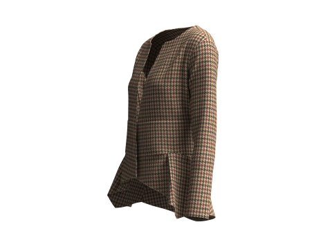 Ladies Fashion Tops 3D 模型