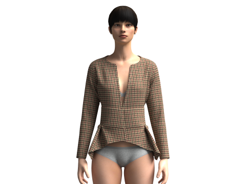 Ladies Fashion Tops 3D 模型
