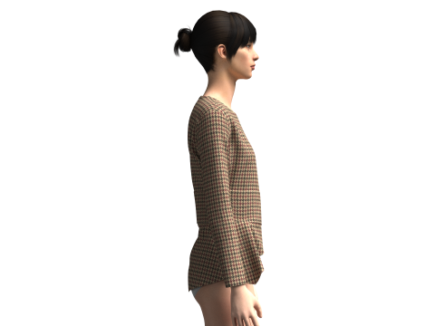 Ladies Fashion Tops 3D 模型