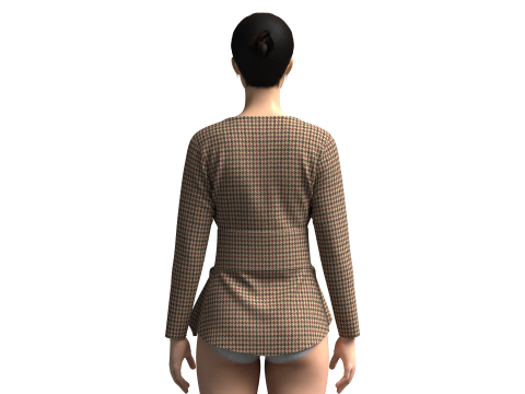 Ladies Fashion Tops 3D 模型