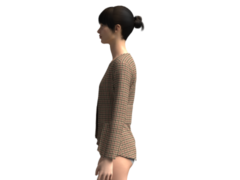 Ladies Fashion Tops 3D 模型