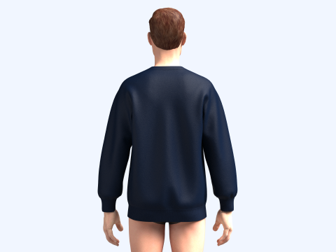 Tommy Hilfiger - Sweatshirt Model 3D