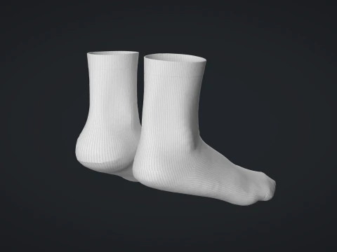 Socks - White 3D Model