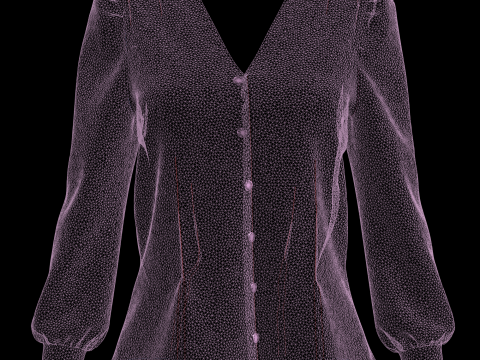 THE FITTED LOLA TOP Model 3D