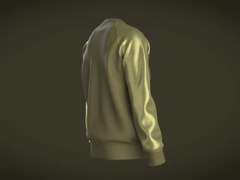 Men Raglan Sweatshirts With Zip 3D Model