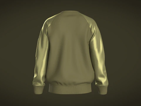 Men Raglan Sweatshirts With Zip 3D Model
