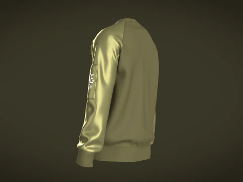Men Raglan Sweatshirts With Zip 3D Model