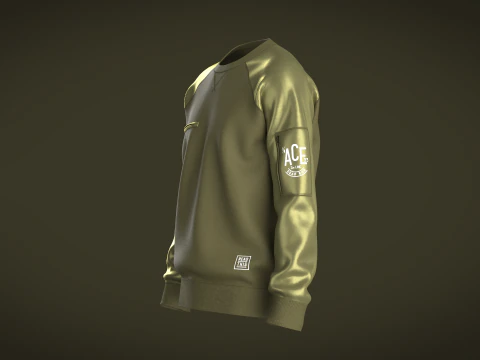 Men Raglan Sweatshirts With Zip 3D Model