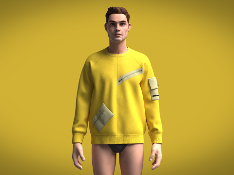 Men Raglan Sweatshirts - Zip With Pocket 3D-Modell
