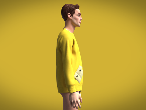 Men Raglan Sweatshirts - Zip With Pocket 3D-Modell