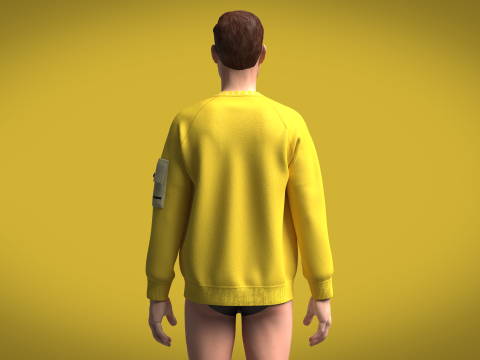 Men Raglan Sweatshirts - Zip With Pocket 3D-Modell