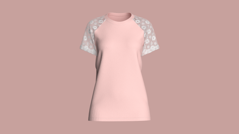Ladies Raglan Tops 3D मॉडल .c4d .max .obj .3ds .fbx .stl .blend 