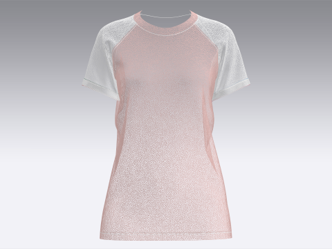 Ladies Raglan Tops 3D मॉडल