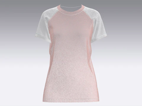Ladies Raglan Tops 3D Model