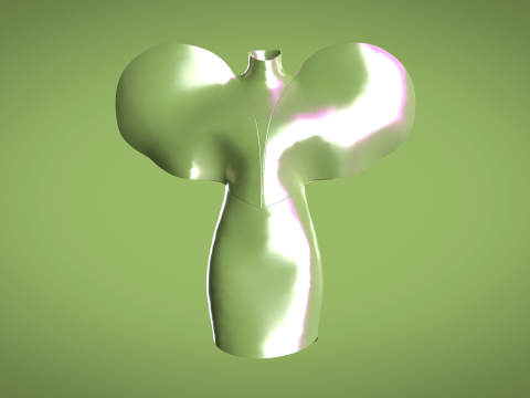 Ladies Heart Tops 3D 모델