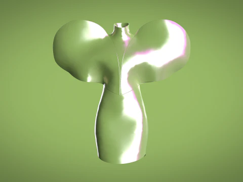 Ladies Heart Tops 3D Model
