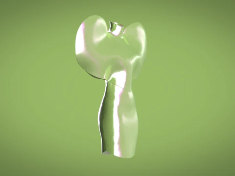 Ladies Heart Tops 3D Model