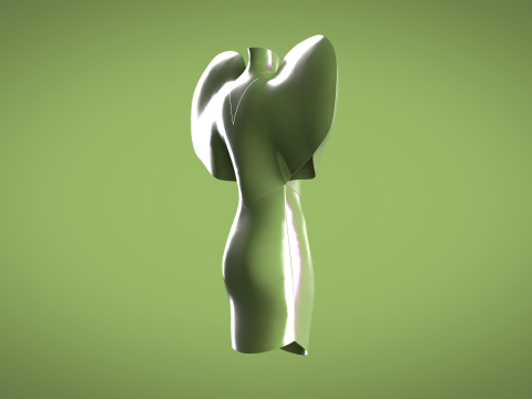Ladies Heart Tops 3D 모델