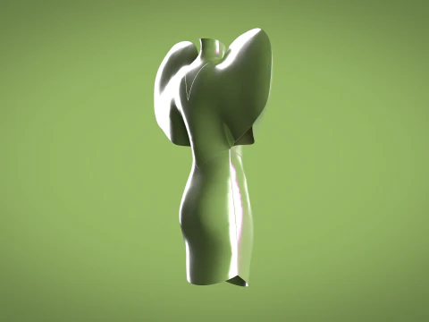 Ladies Heart Tops 3D Model