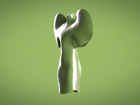 Ladies Heart Tops 3D Model