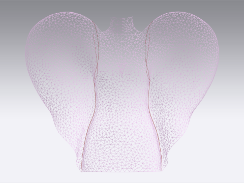 Heart Dress Model 3D