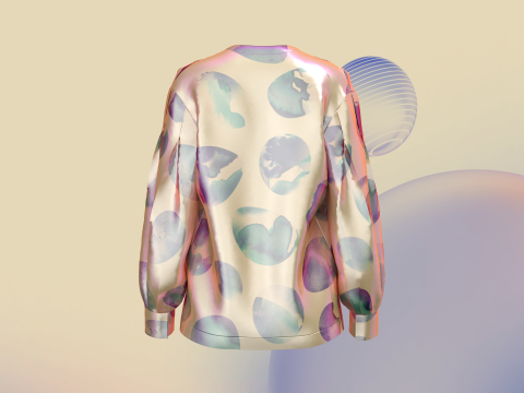 Ladies Mirror Shirt 3D-Modell