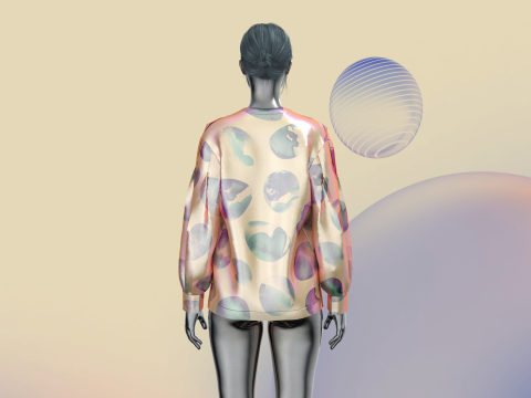 Ladies Mirror Shirt 3D-Modell