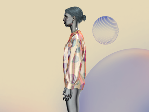 Ladies Mirror Shirt 3D-Modell