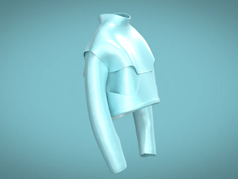 Men Giant Jacket 3D Model